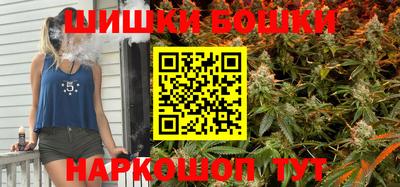 молекула духа Будённовск
