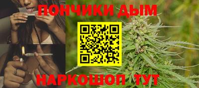 молекула духа Будённовск