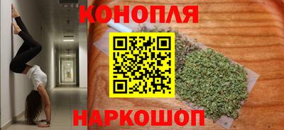 молекула духа Будённовск