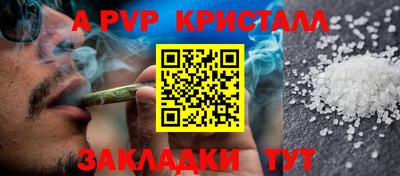 молекула духа Будённовск