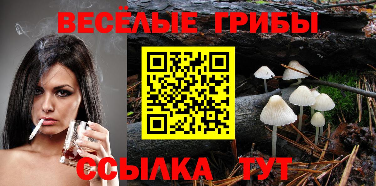 Семилуки  Псилоцибиновые грибы GOLDEN TEACHER  Вход с VPN  Галлюциногенные грибы Cubensis 