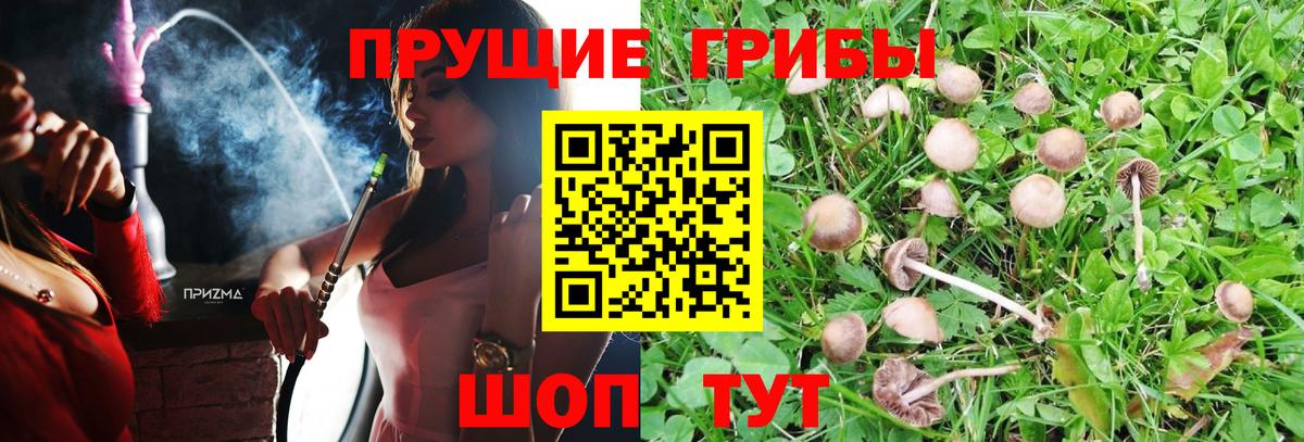 Псилоцибиновые грибы MAGIC MUSHROOMS Семилуки